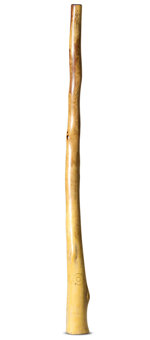 CrookedStixz Didgeridoo (AH411)